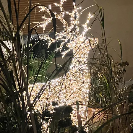 بيت للعطل Elb- Havel