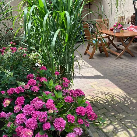 بيت للعطل Elb- Havel Schonhausen